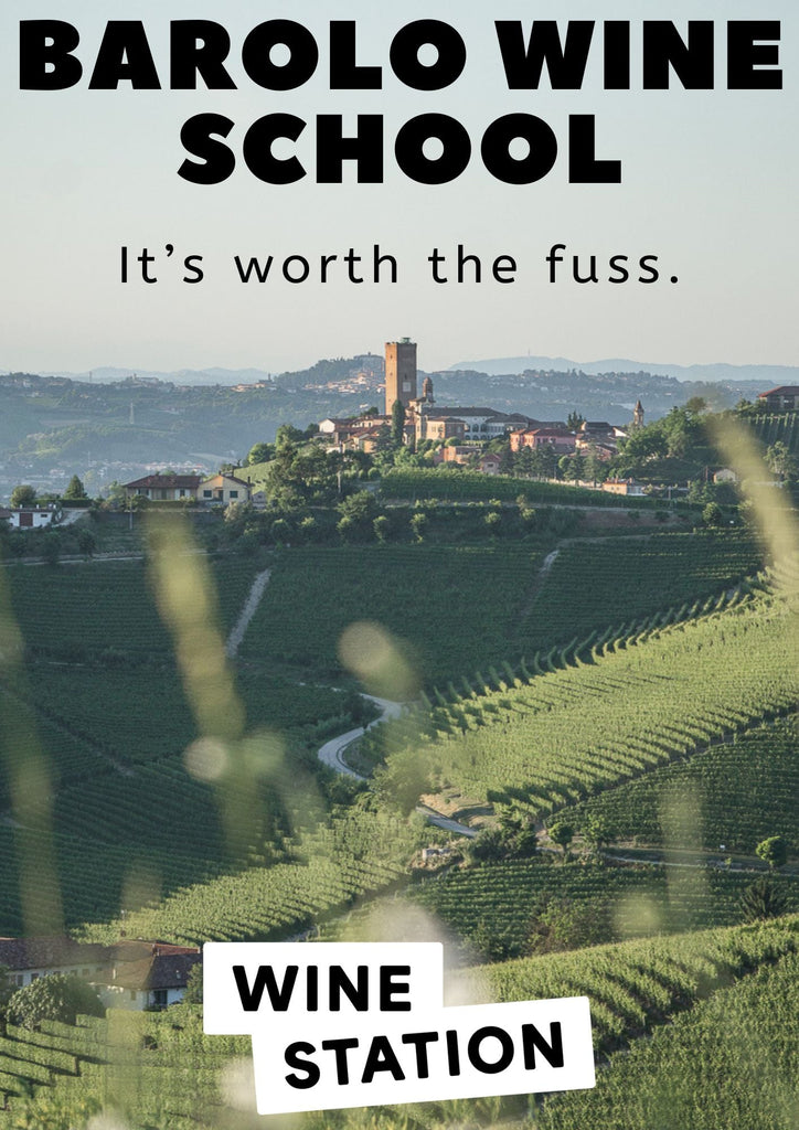 Barolo Wine School