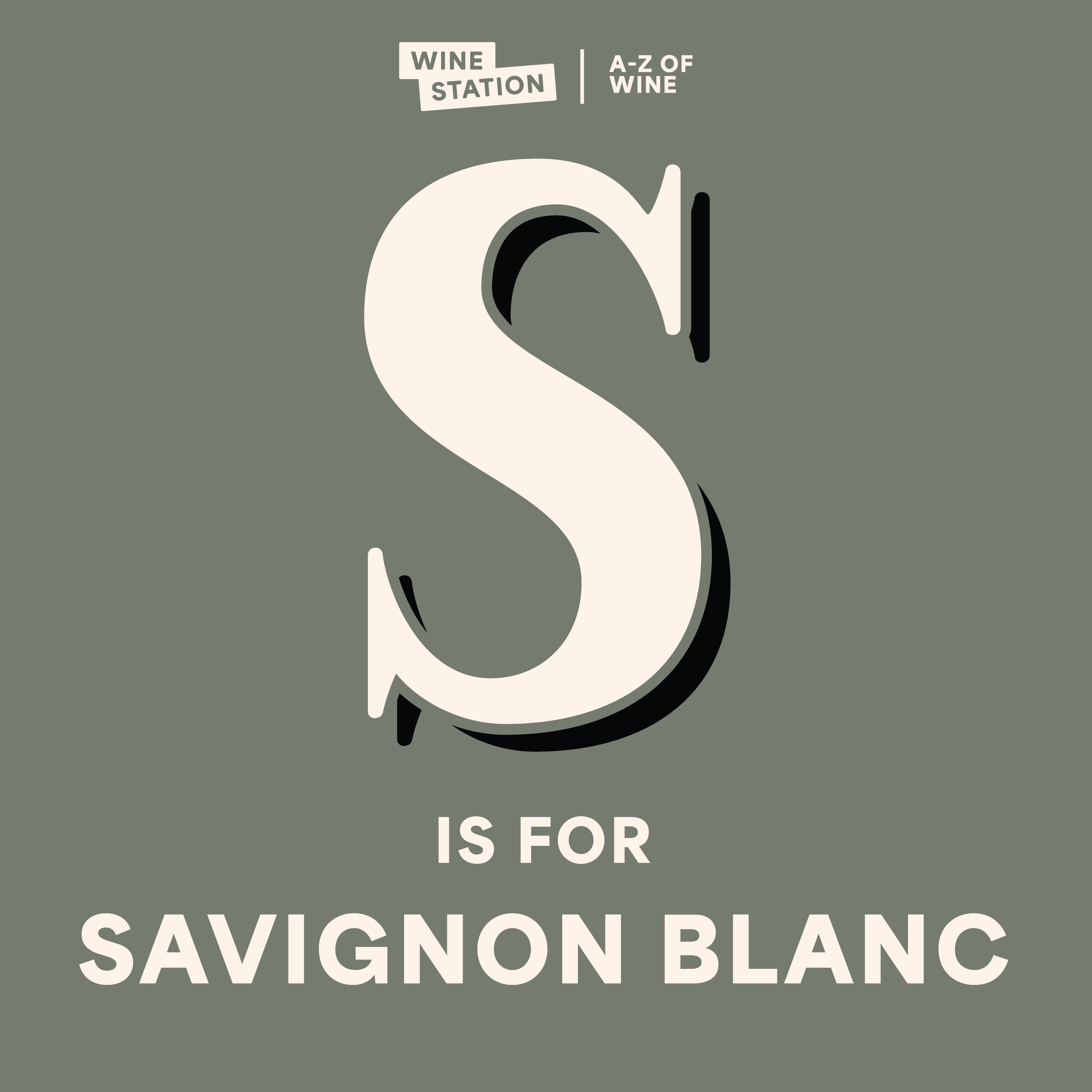 S is for SAUVIGNON BLANC