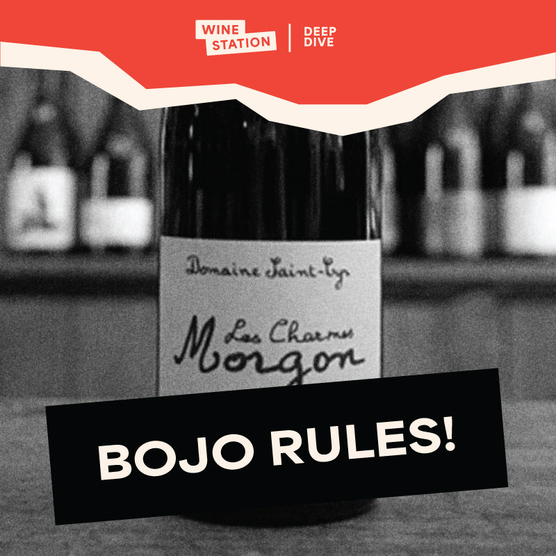 Domaine Saint Cyr / Beaujolais, France