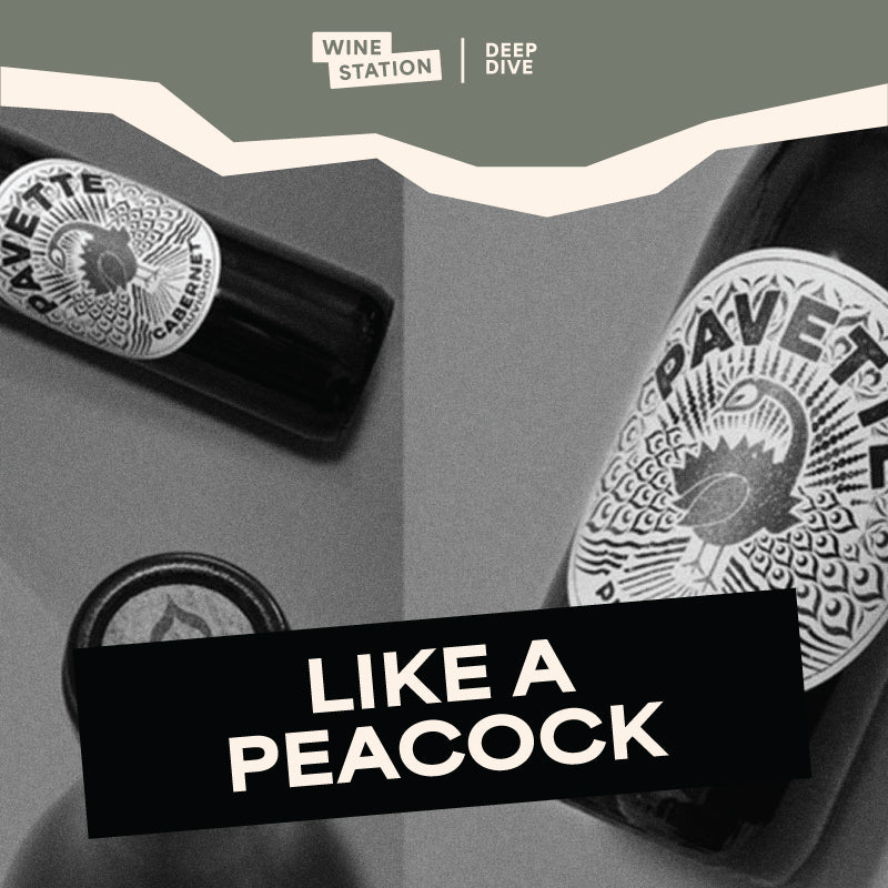 Pavette Wine / California, America