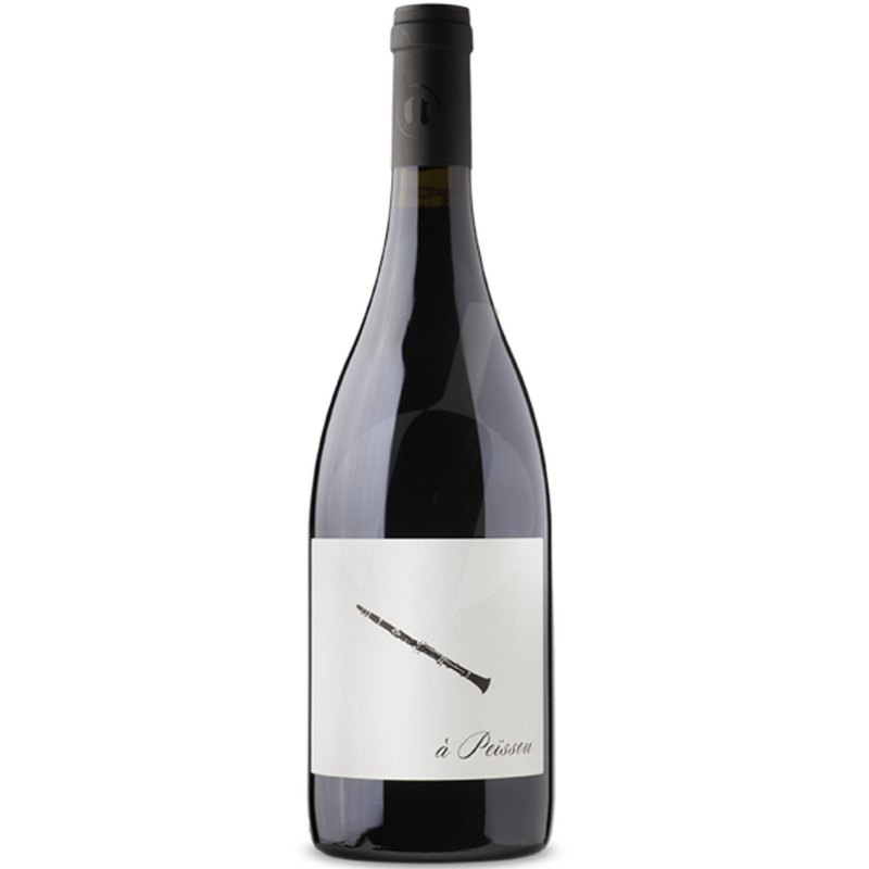 Domaine Des Amiel a Peissou