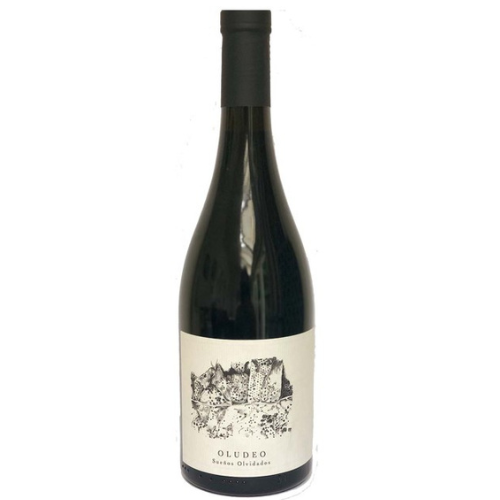 Oludeo Suenos Olvidados