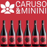 Caruso & Minini 'Sira' 6-PACK OFFER!